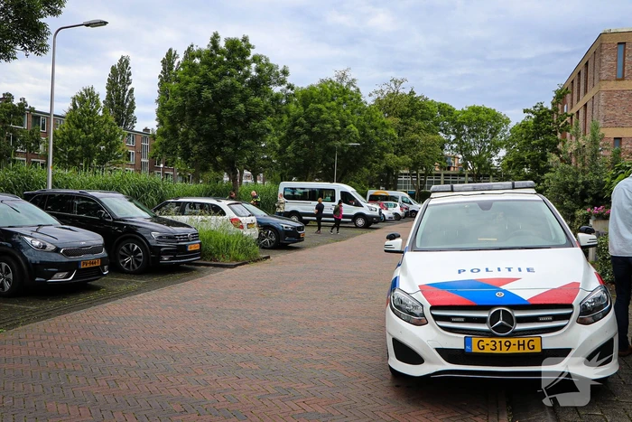 Auto eindigt in het riet