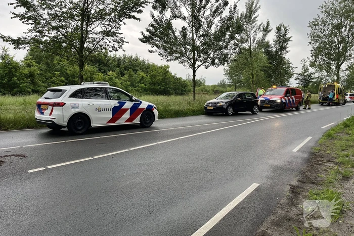Bestuurster gewond bij botsing tegen boom