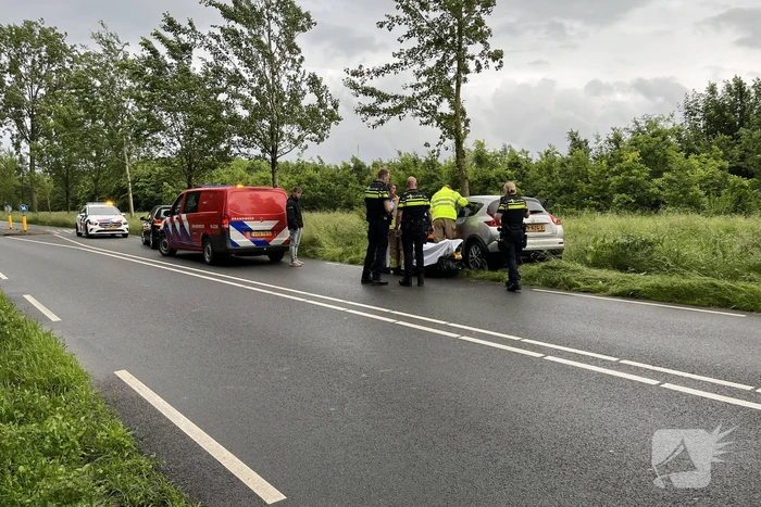Bestuurster gewond bij botsing tegen boom