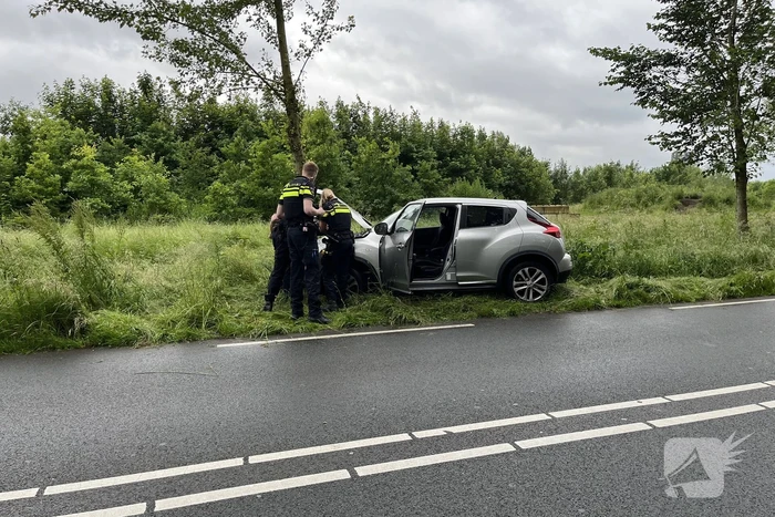 Bestuurster gewond bij botsing tegen boom