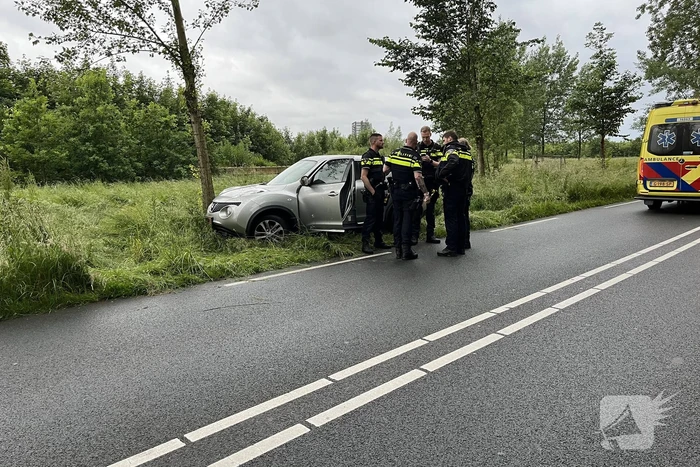 Bestuurster gewond bij botsing tegen boom