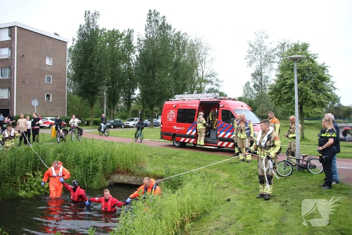 nieuws mui katwijk