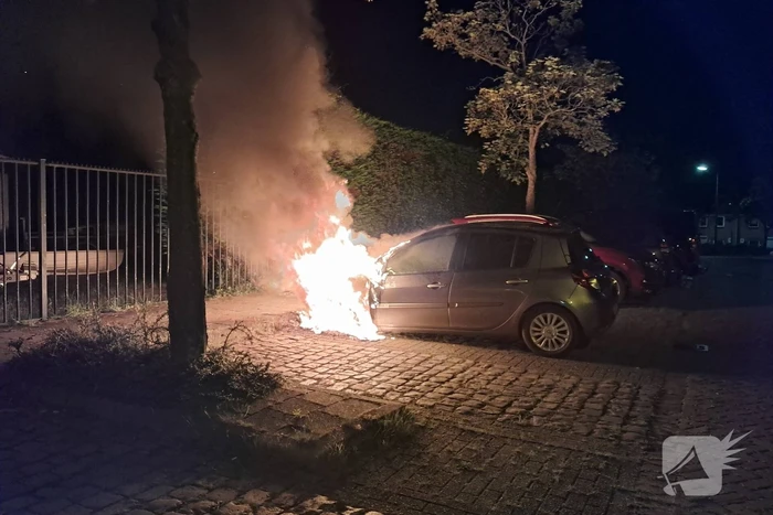 brand domineeshof sint-annaland
