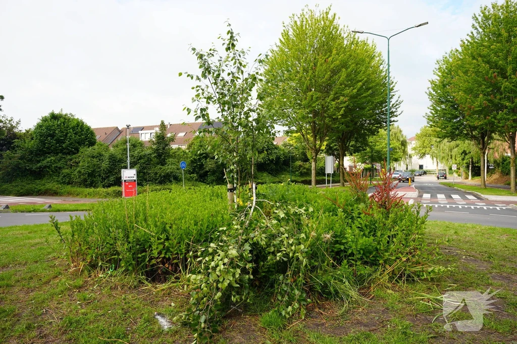 Blauwe Reiger Bunschoten-Spakenburg 112 