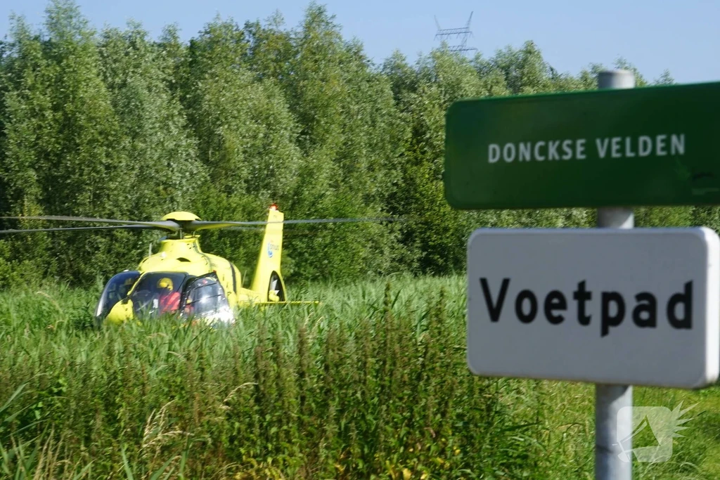 Dolfijnpark Nieuws Ridderkerk 