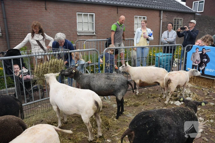 Koeien knuffelen tijdens Bunschoter Boeren- en Beestenboel