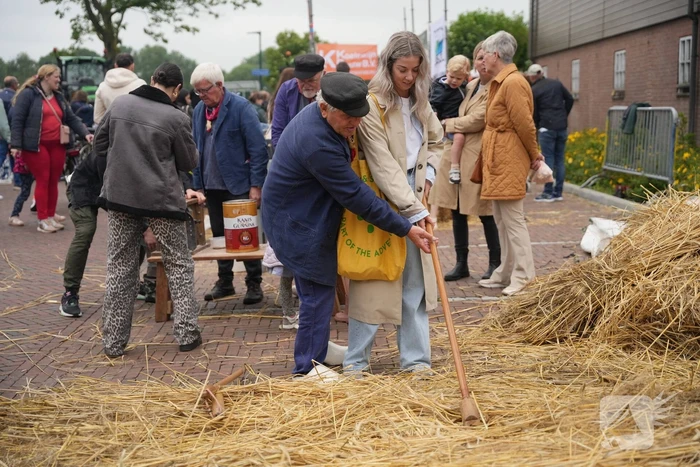 Koeien knuffelen tijdens Bunschoter Boeren- en Beestenboel