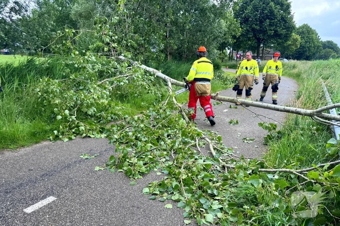 natuur bosscheweg - n279 erp