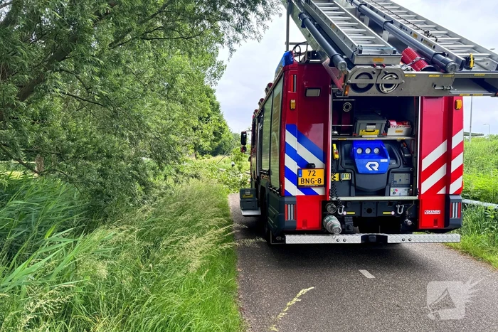 Voetganger door het oog van de naald na omvallen boom