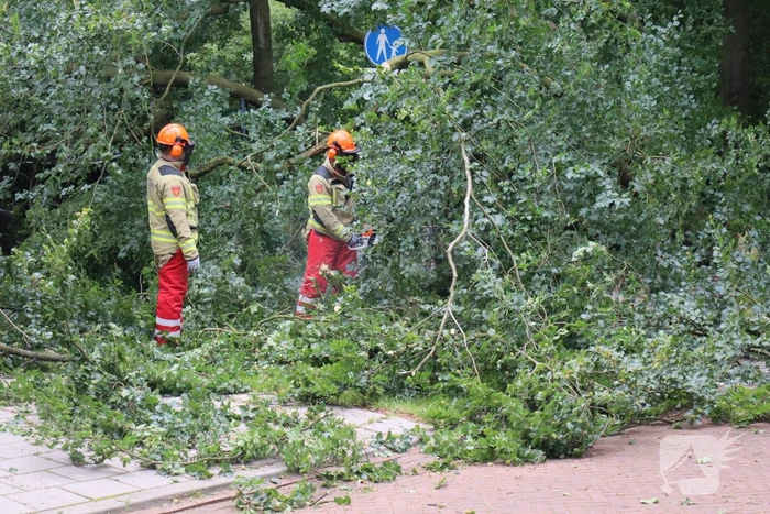 Flinke schade na omvallen boom park Daalhuizen