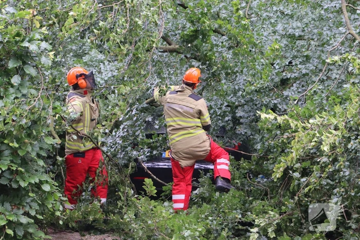 Flinke schade na omvallen boom park Daalhuizen