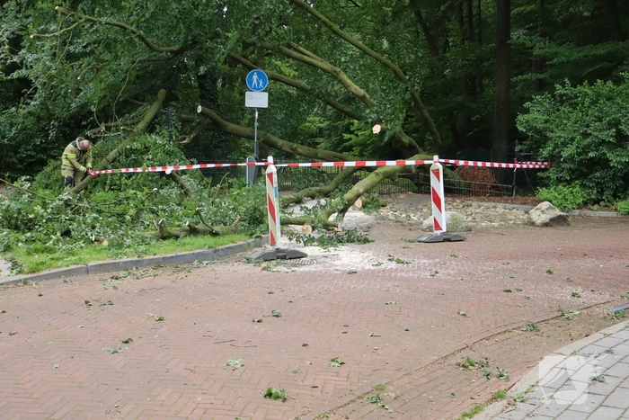 Flinke schade na omvallen boom park Daalhuizen
