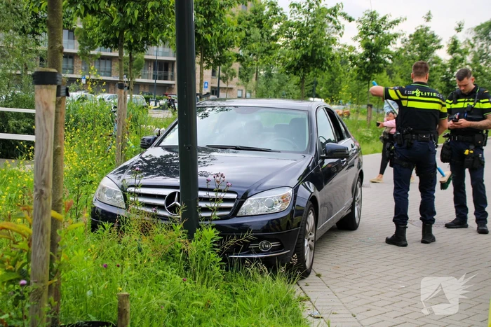 Politie tikt autoruit in nadat onwel geworden persoon tegen lantaarnpaal botst