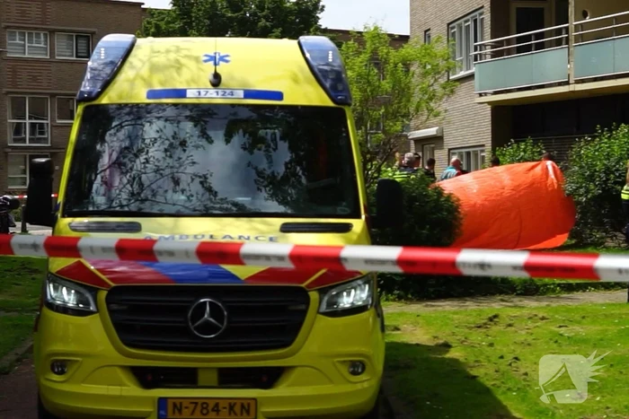 nieuws oldegaarde rotterdam