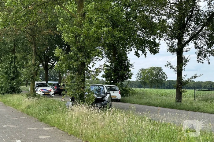 Bestuurder ramt boom en verdwijnt spoorloos