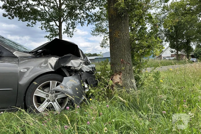 Bestuurder ramt boom en verdwijnt spoorloos