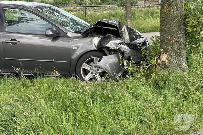 Bestuurder ramt boom en verdwijnt spoorloos