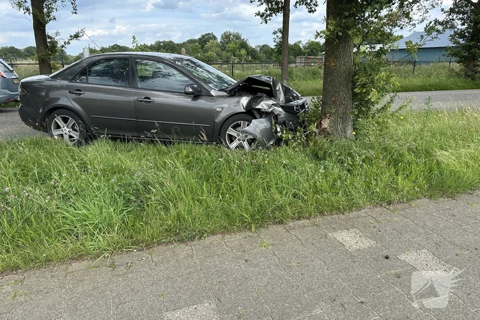 Bestuurder ramt boom en verdwijnt spoorloos