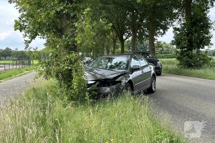 Bestuurder ramt boom en verdwijnt spoorloos