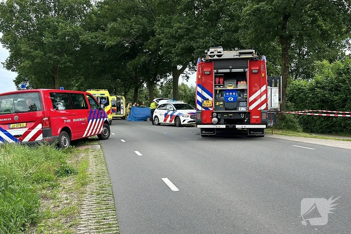 Bestuurder op slag dood na crash tegen boom