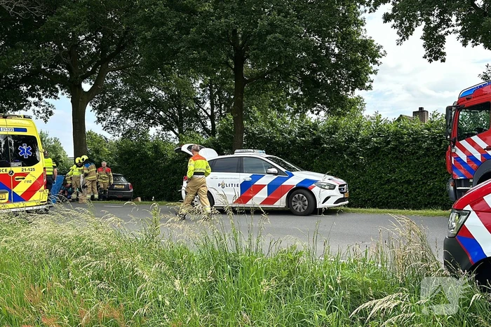 Bestuurder op slag dood na crash tegen boom