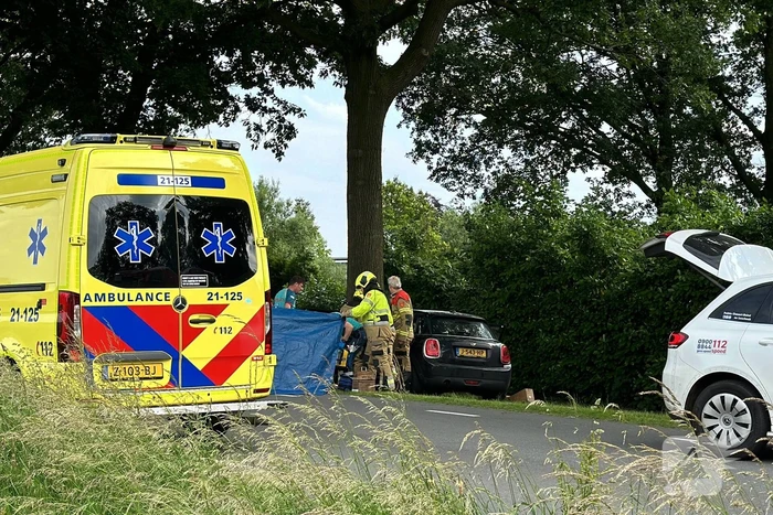 Bestuurder op slag dood na crash tegen boom