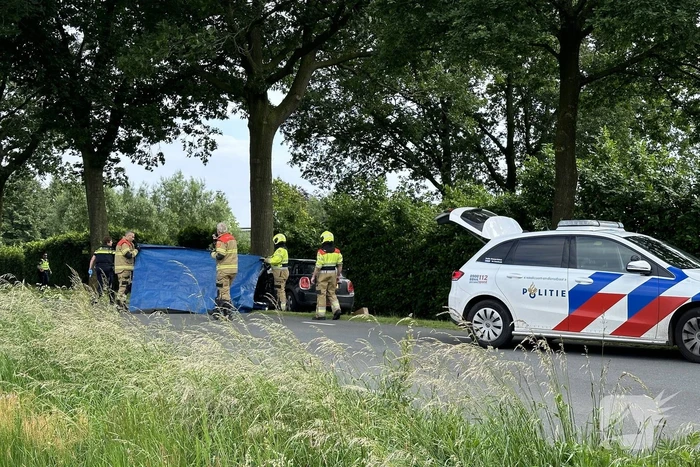 Bestuurder op slag dood na crash tegen boom