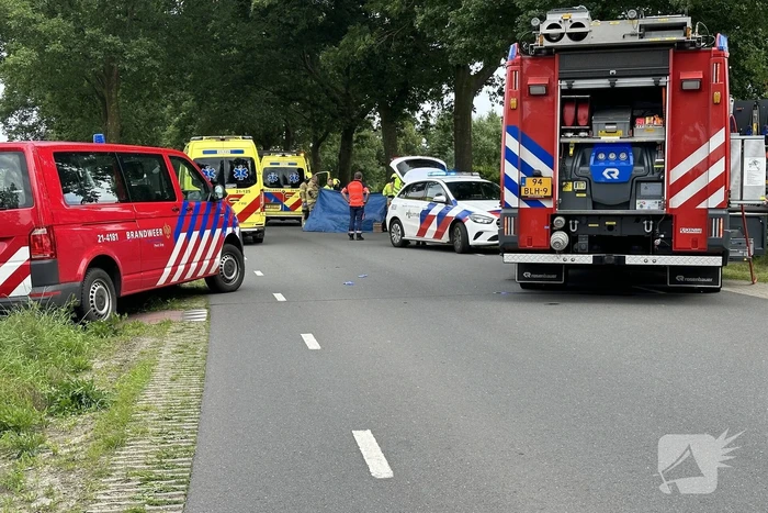 Bestuurder op slag dood na crash tegen boom