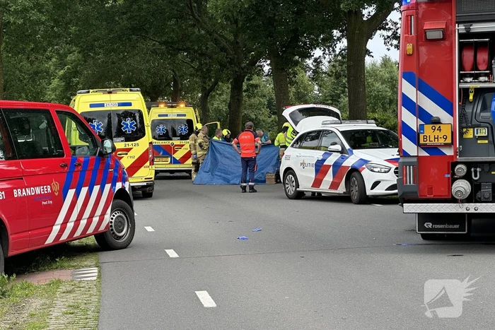Bestuurder op slag dood na crash tegen boom