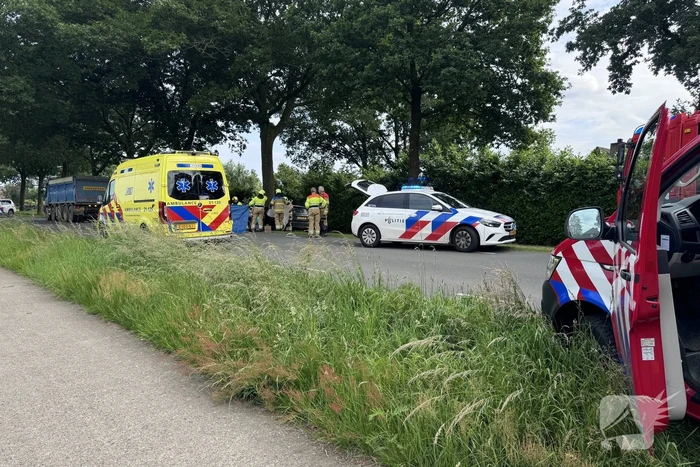 Bestuurder op slag dood na crash tegen boom