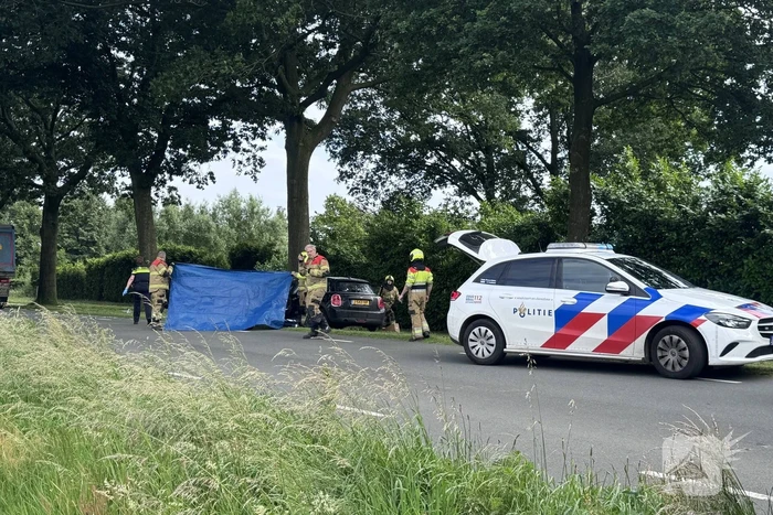 Bestuurder op slag dood na crash tegen boom