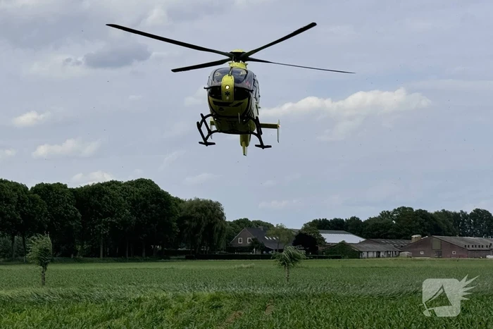 Bestuurder op slag dood na crash tegen boom
