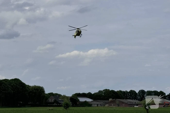Bestuurder op slag dood na crash tegen boom