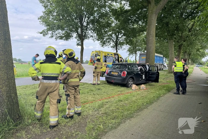 Bestuurder op slag dood na crash tegen boom
