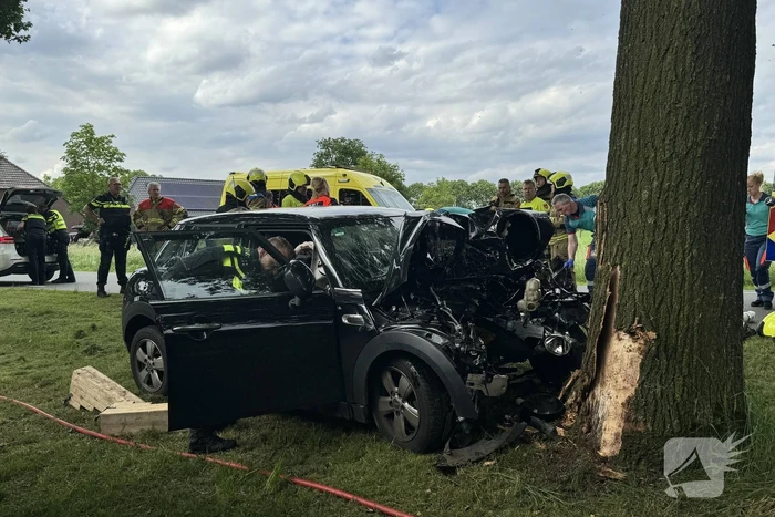Bestuurder op slag dood na crash tegen boom