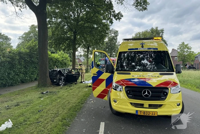 Bestuurder op slag dood na crash tegen boom