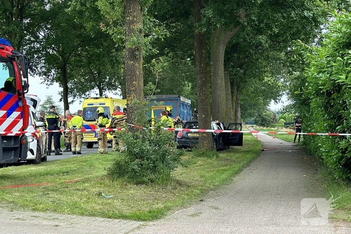 Bestuurder op slag dood na crash tegen boom