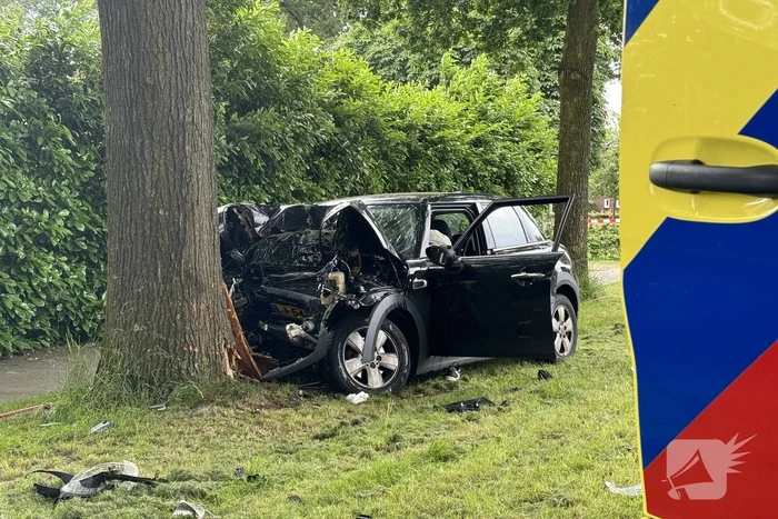 Bestuurder op slag dood na crash tegen boom