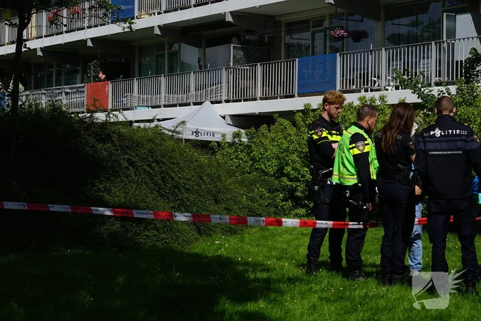 Lichaam gevonden op straat