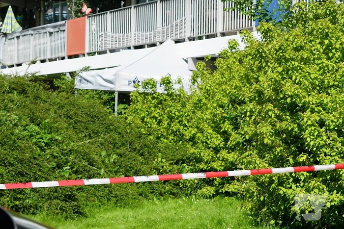 Lichaam gevonden op straat