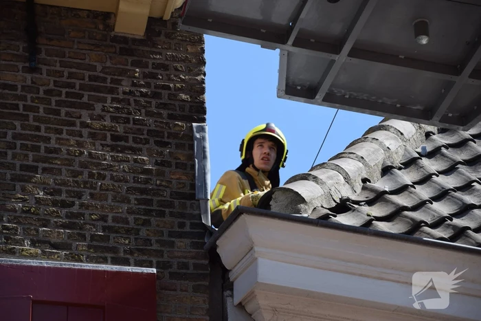 Brandweer aanwezig voor vogelnest