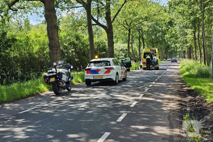 Bestuurder belandt tegen boom met auto