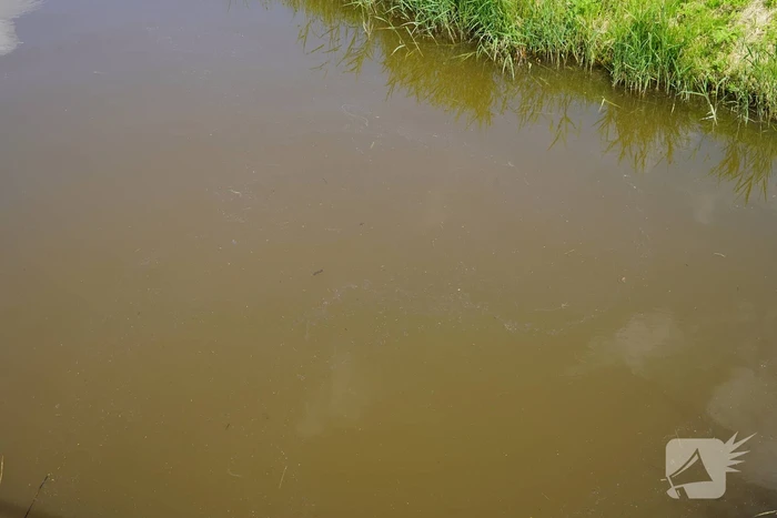 Grote drugsdumping in natuurgebied