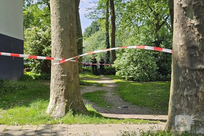 Schietpartij in de wijk Binnenveld
