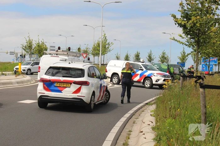 Vogel vliegt tegen voorruit bestelbus