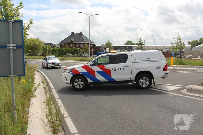Vogel vliegt tegen voorruit bestelbus