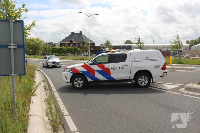 Vogel vliegt tegen voorruit bestelbus