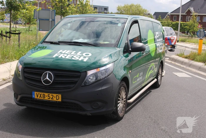 Vogel vliegt tegen voorruit bestelbus