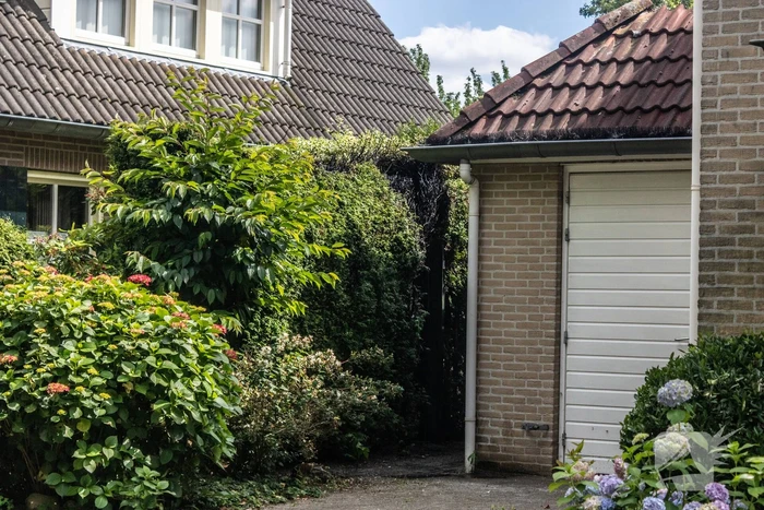 Brand in heg snel onder controle