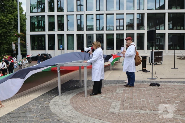 Veel demonstranten bij Pro Palestina demonstratie